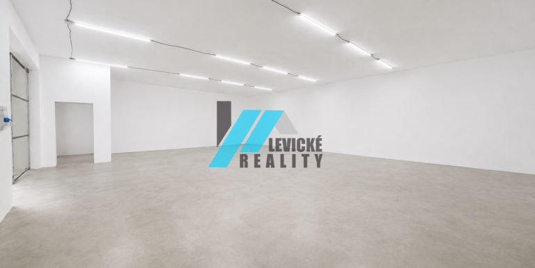Levicke-reality-1