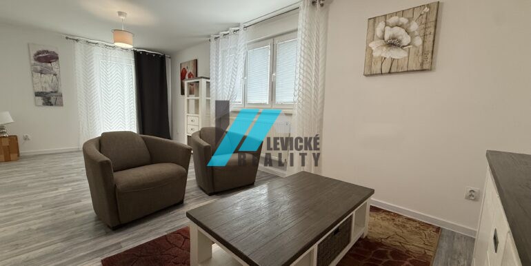 Levicke-reality-11