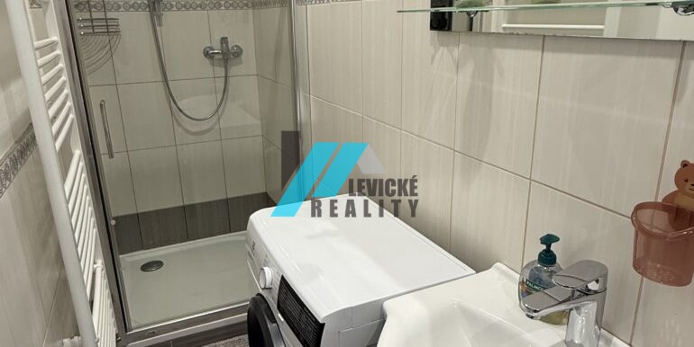 Levicke-reality-12