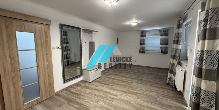 Levicke-reality-2