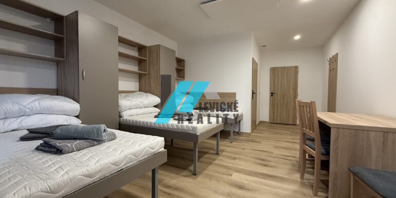Levicke-reality-2