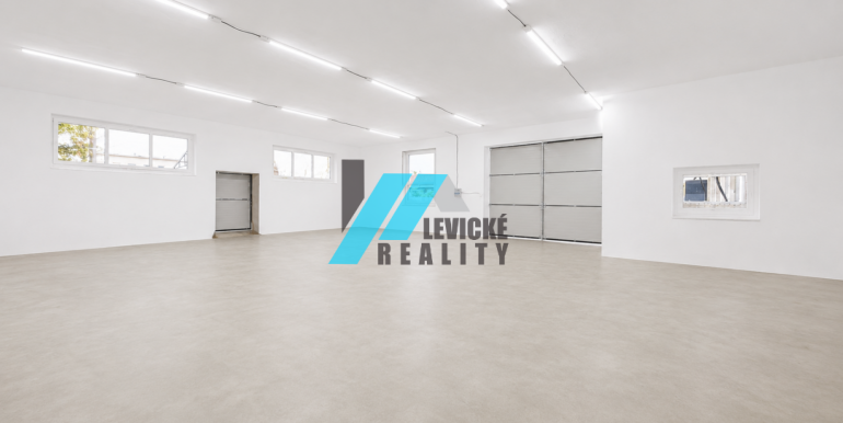 Levicke-reality-2