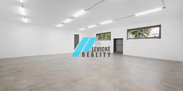 Levicke-reality-3