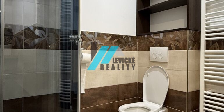 Levicke-reality-4