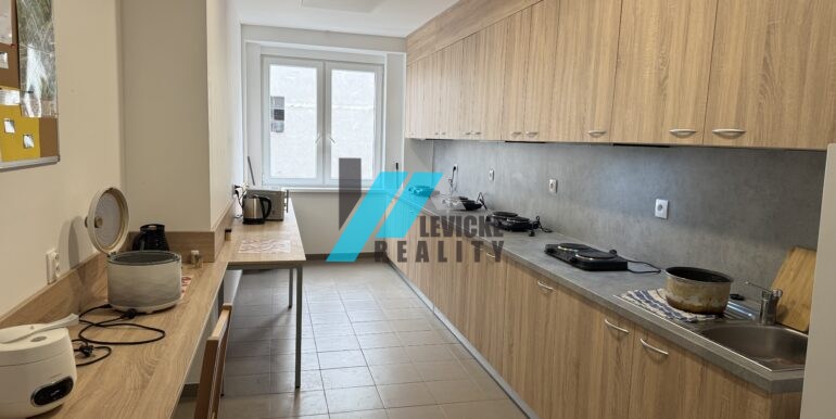 Levicke-reality-5