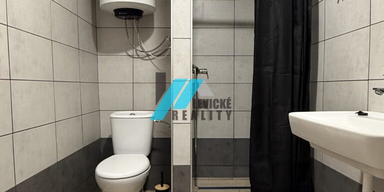 Levicke-reality-7