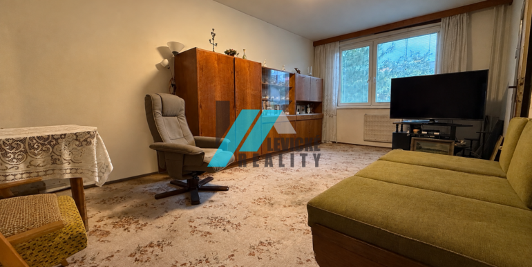Levicke-reality-1