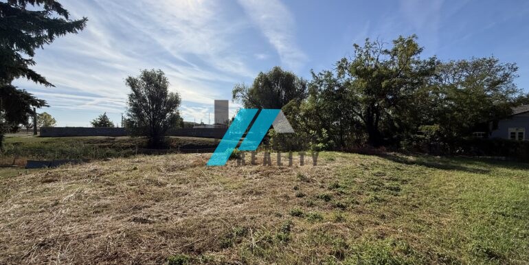 Levicke-reality-1