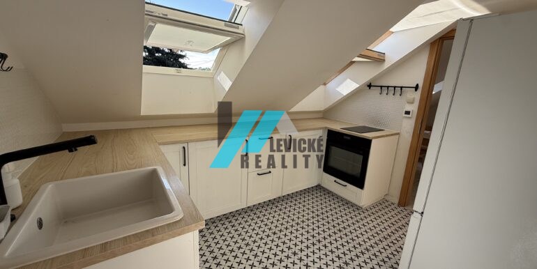Levicke-reality-1