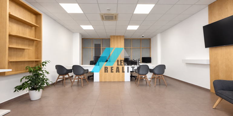 Levicke-reality-1