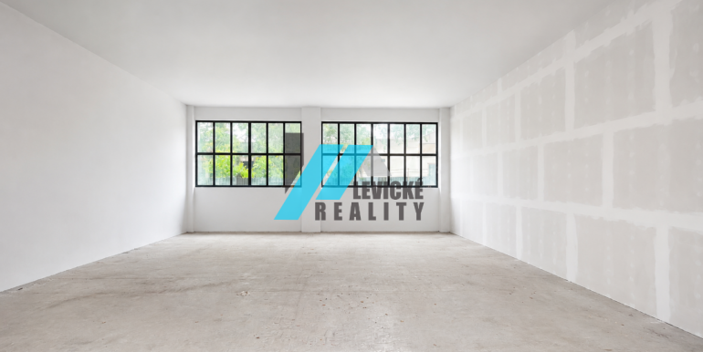 Levicke-reality-1