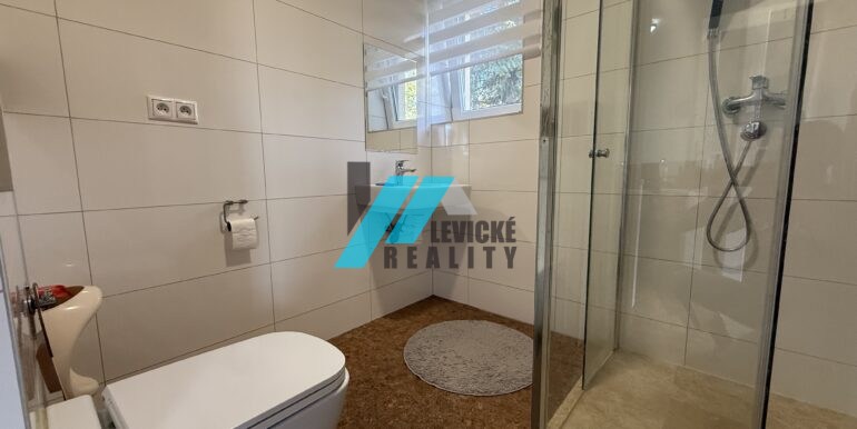 Levicke-reality-11