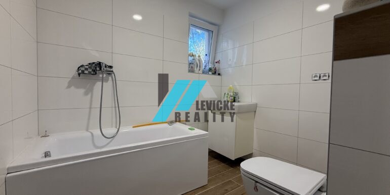 Levicke-reality-14