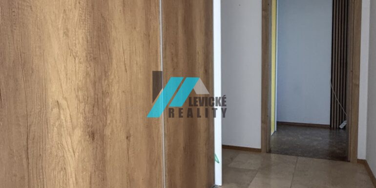 Levicke-reality-16