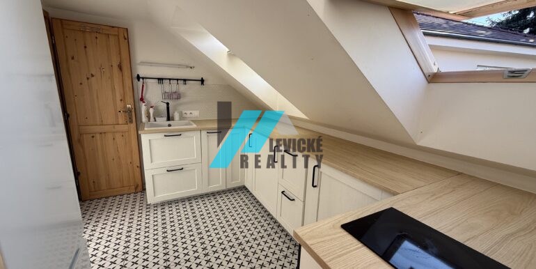 Levicke-reality-2