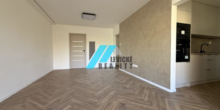 Levicke-reality-2