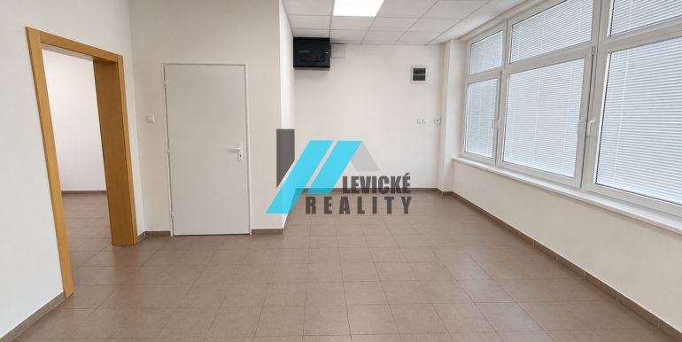 Levicke-reality-3