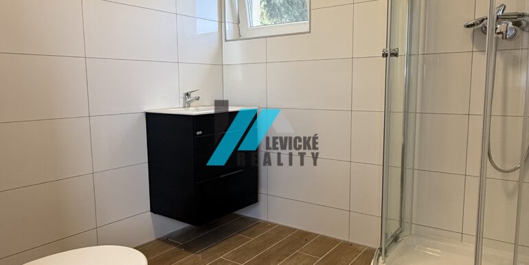 Levicke-reality-3