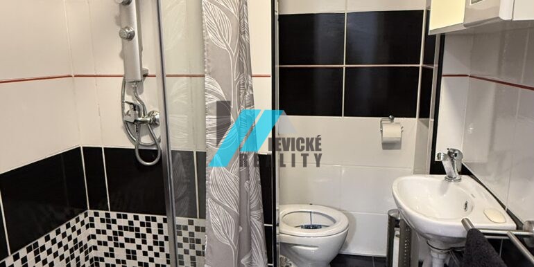 Levicke-reality-3