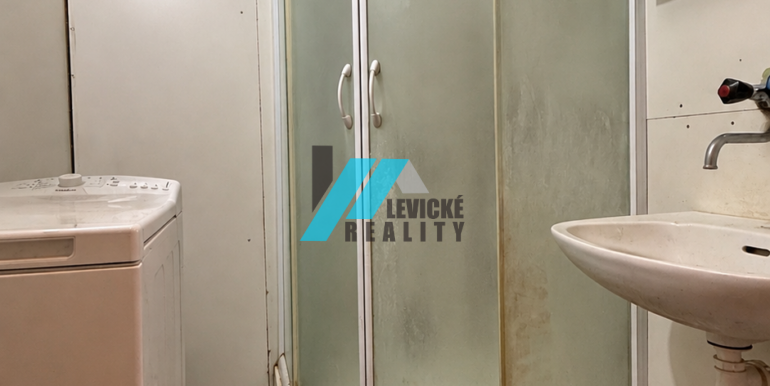 Levicke-reality-3
