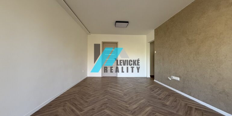 Levicke-reality-3