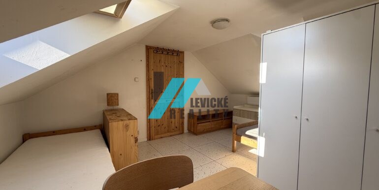 Levicke-reality-4