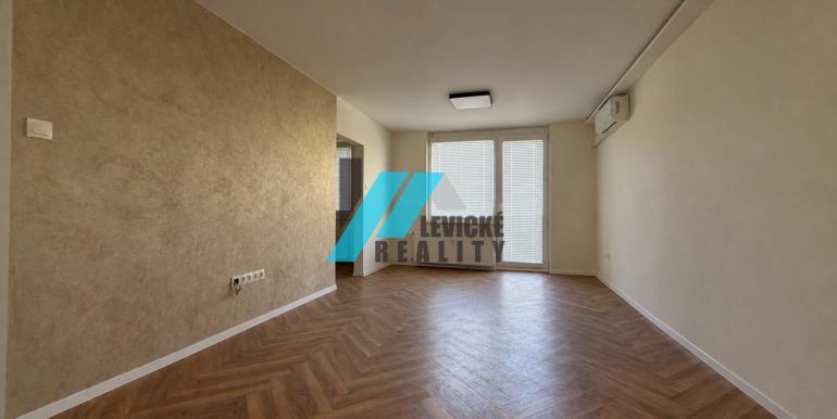Levicke-reality-4