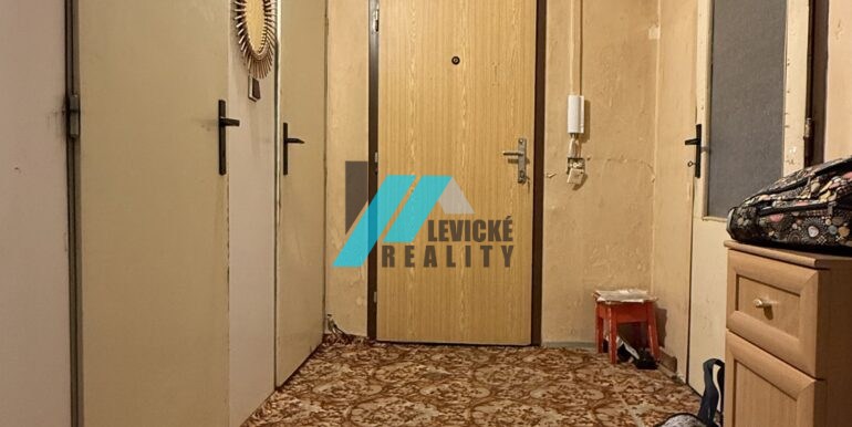Levicke-reality-4