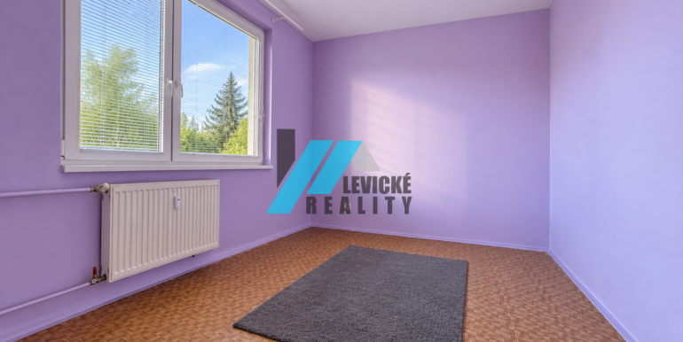 Levicke-reality-4