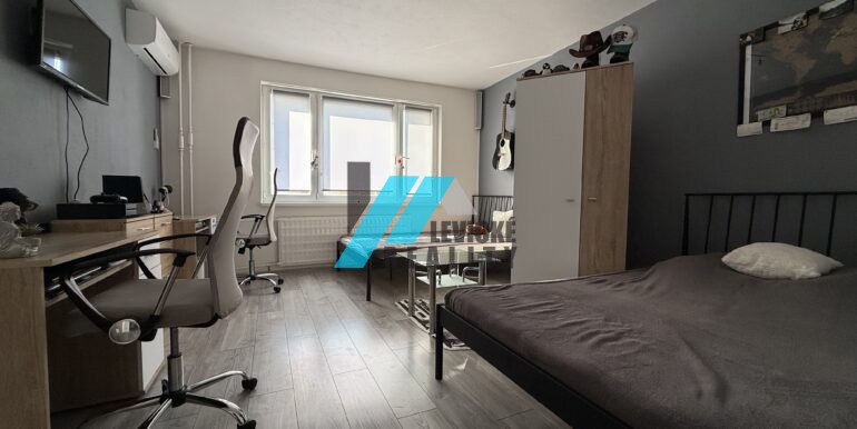 Levicke-reality-5