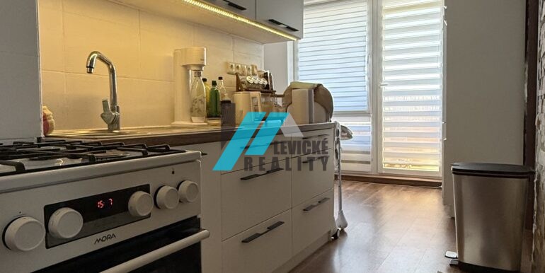 Levicke-reality-5