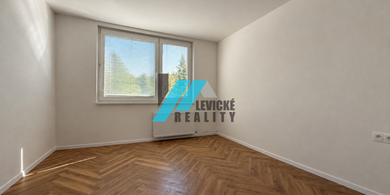Levicke-reality-5