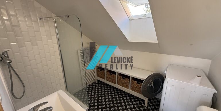 Levicke-reality-6