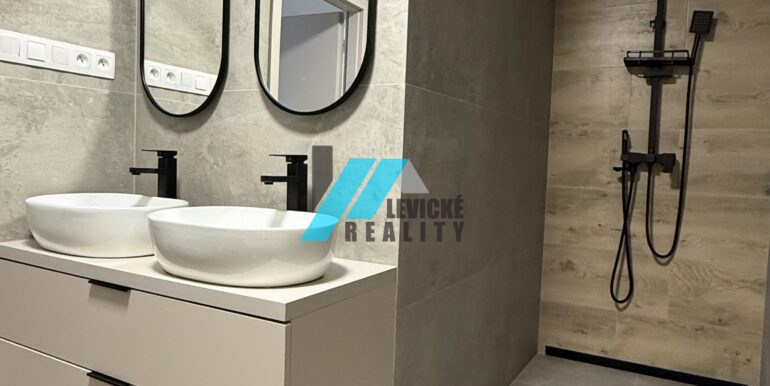 Levicke-reality-8
