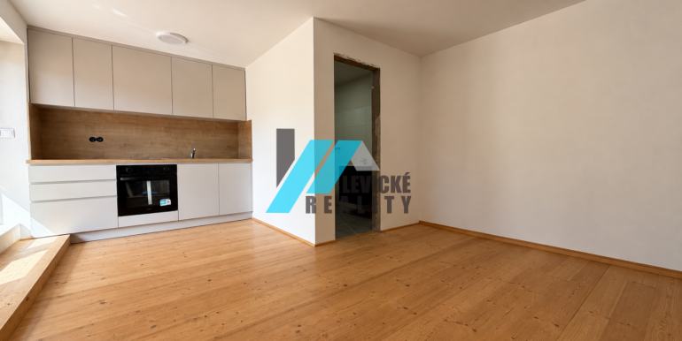 Levicke-reality-8