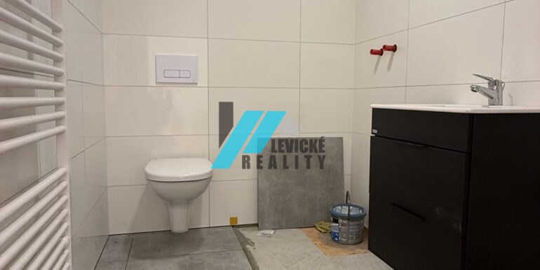 Levicke-reality-9