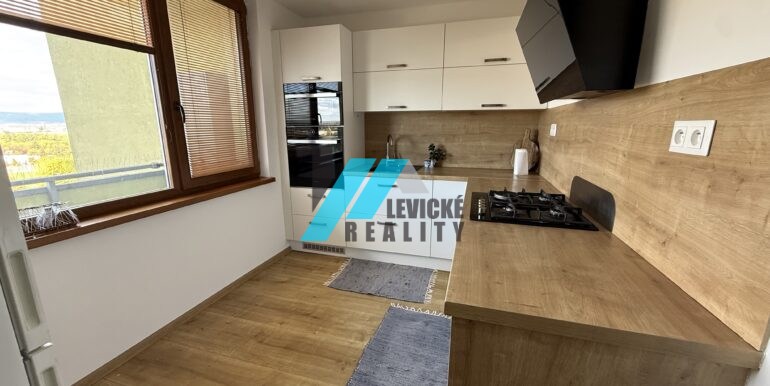 Levicke-reality-1