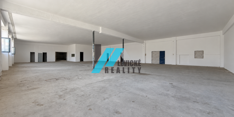Levicke-reality-1