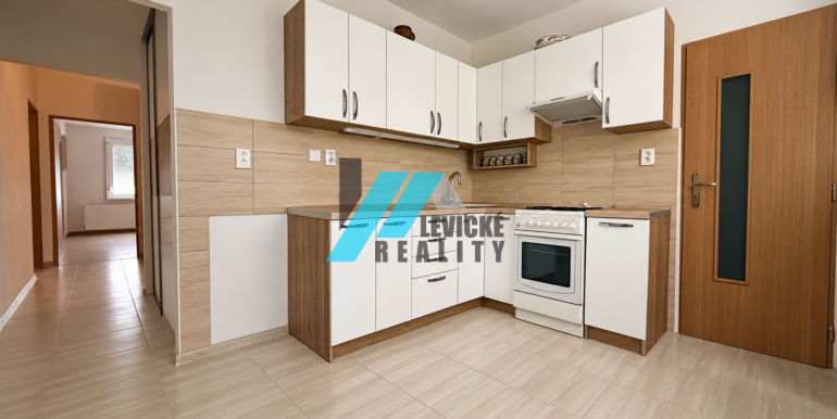 Levicke-reality-1