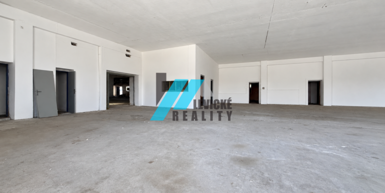 Levicke-reality-2