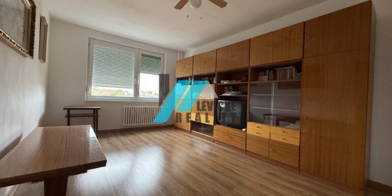 Levicke-reality-3
