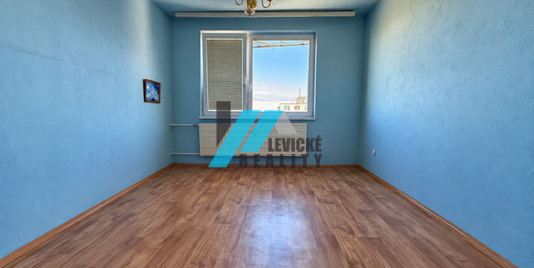 Levicke-reality-3