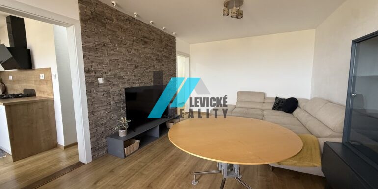 Levicke-reality-4