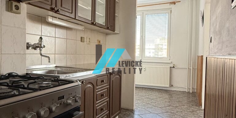 Levicke-reality-4