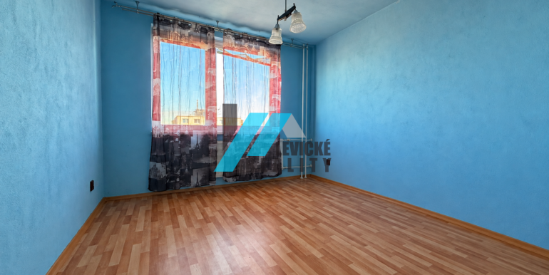 Levicke-reality-4
