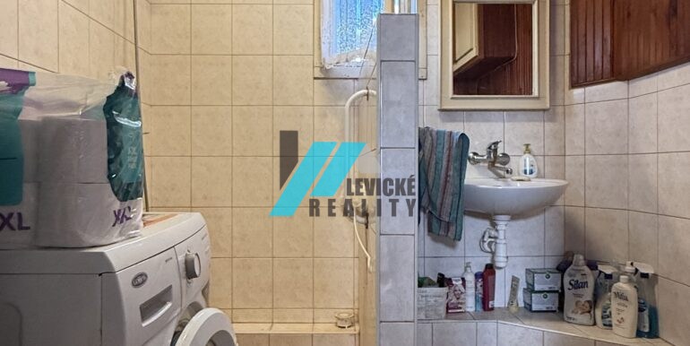 Levicke-reality-5