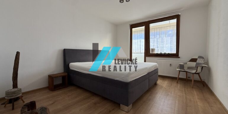 Levicke-reality-5