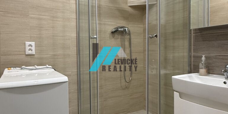 Levicke-reality-5