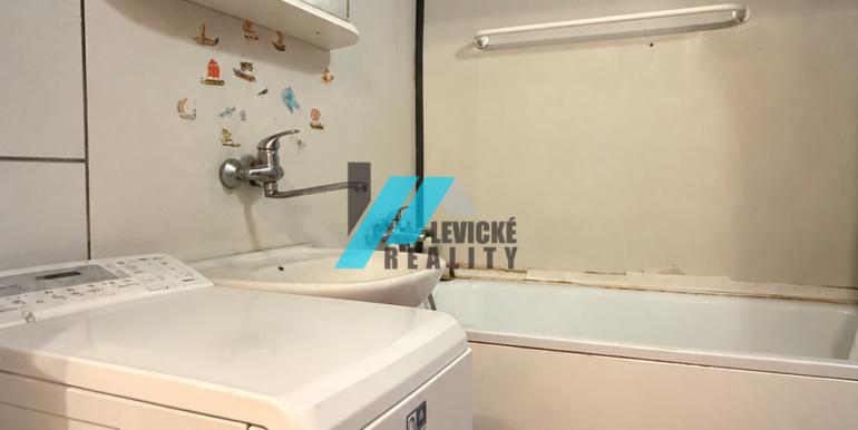Levicke-reality-5