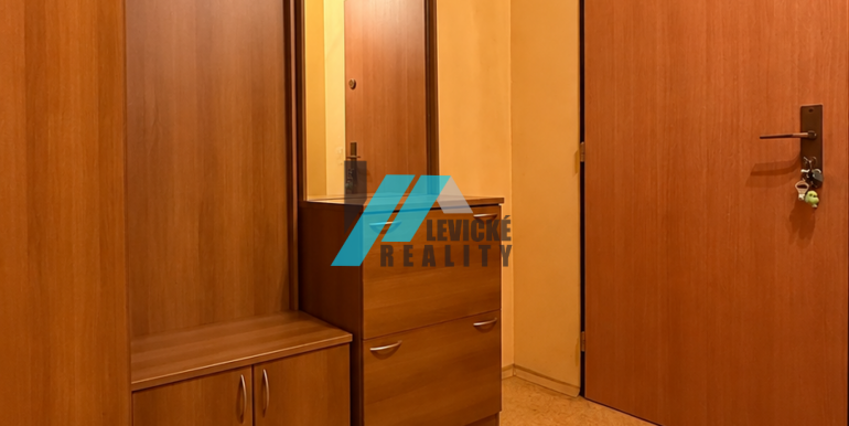 Levicke-reality-6